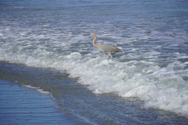 Space Coast photo