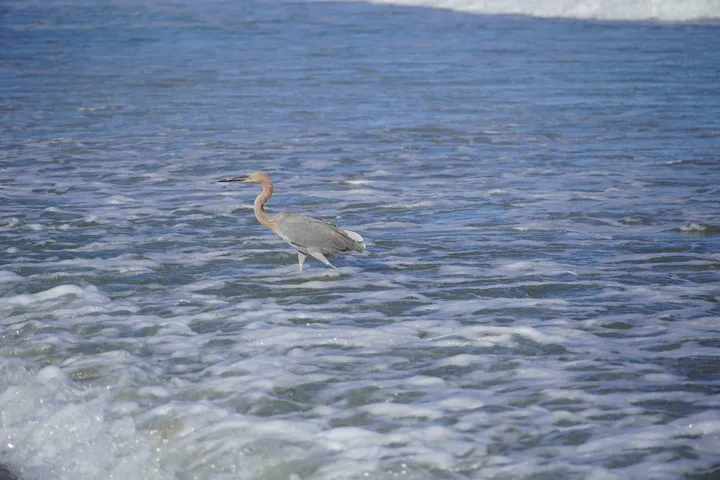 Space Coast photo
