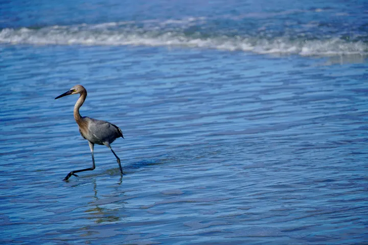 Space Coast photo