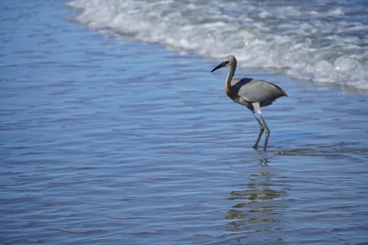 Space Coast photo