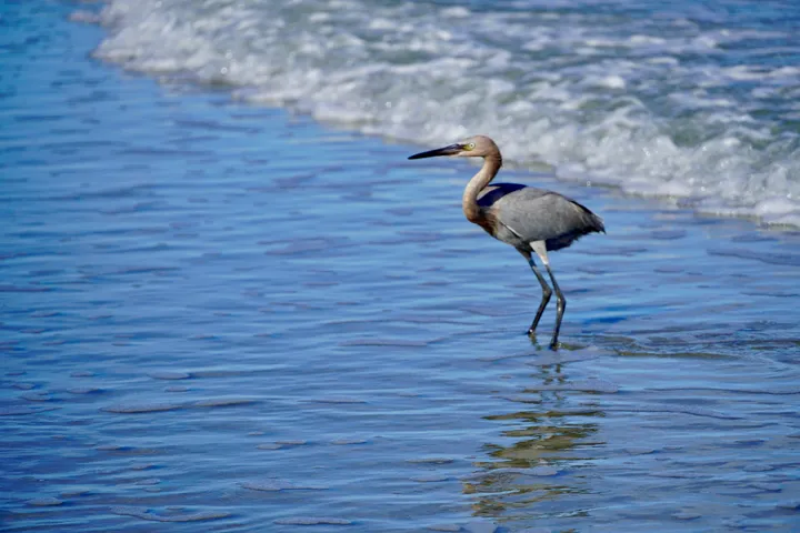 Space Coast photo