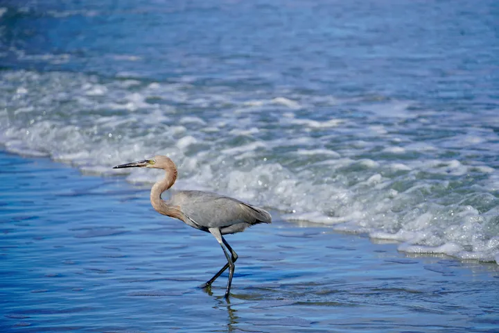 Space Coast photo