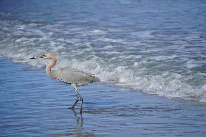 Space Coast photo