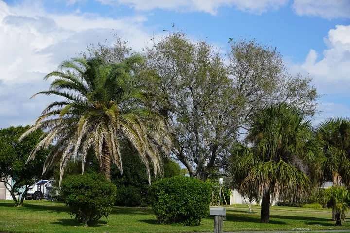 Space Coast photo