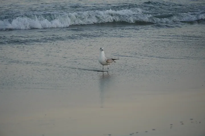 Space Coast photo