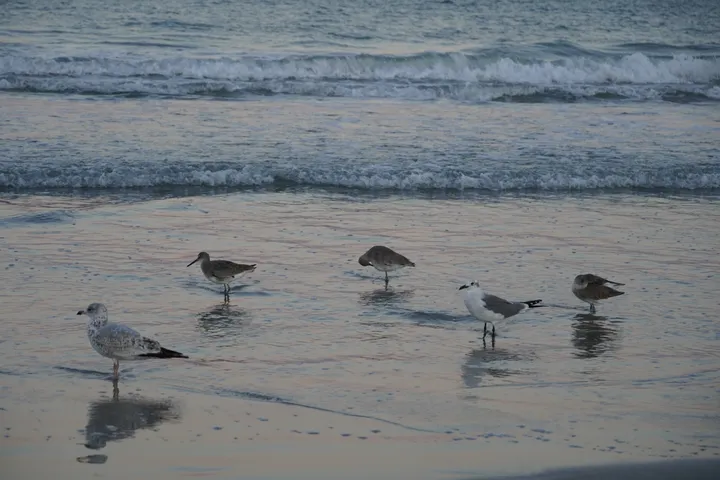 Space Coast photo