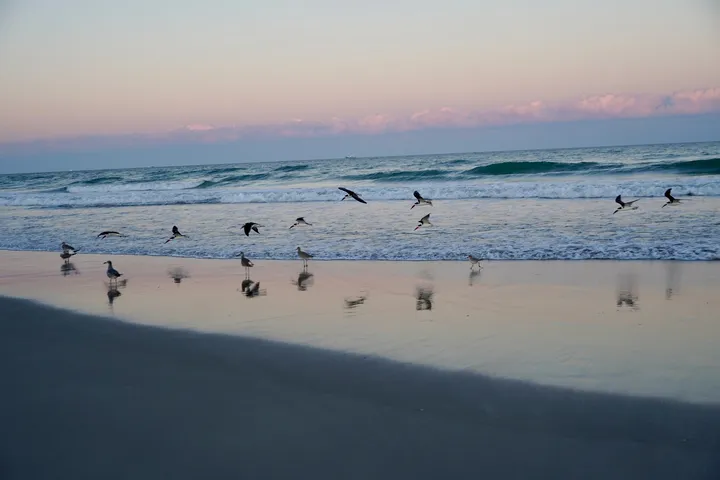 Space Coast photo