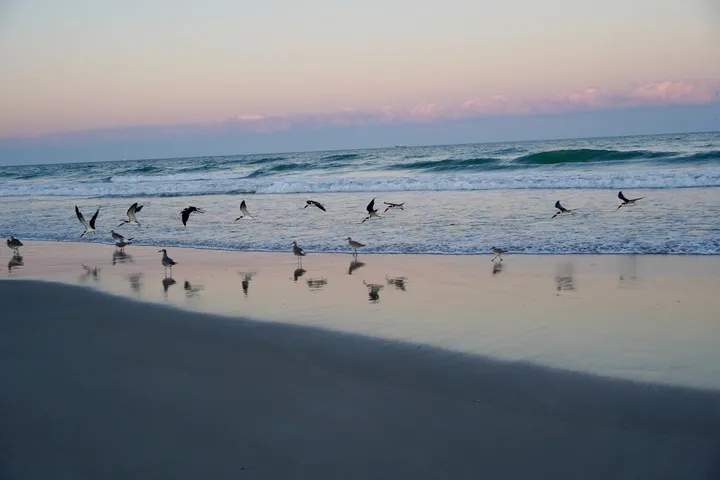 Space Coast photo