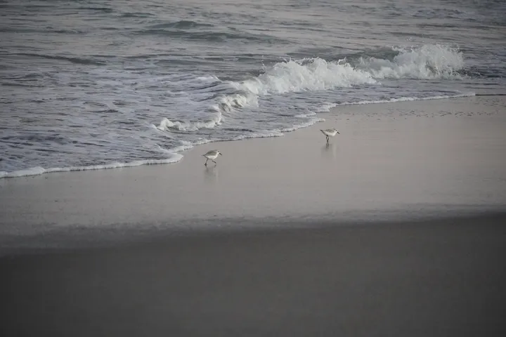 Space Coast photo