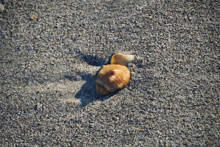 Space Coast photo