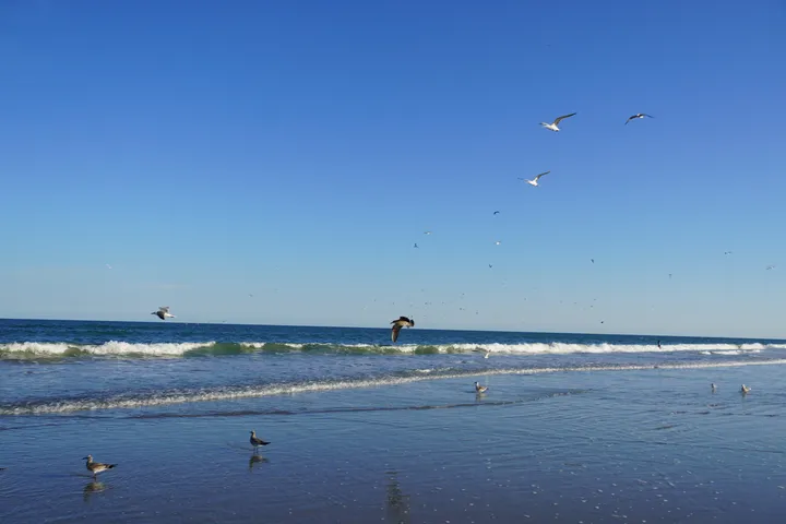 Space Coast photo