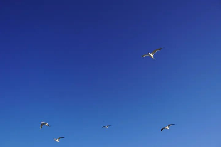 Space Coast photo