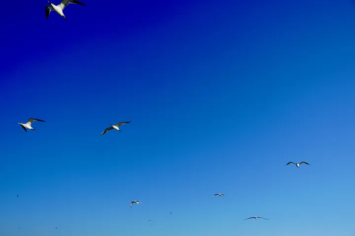 Space Coast photo