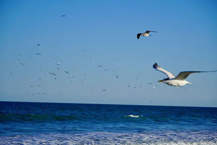 Space Coast photo