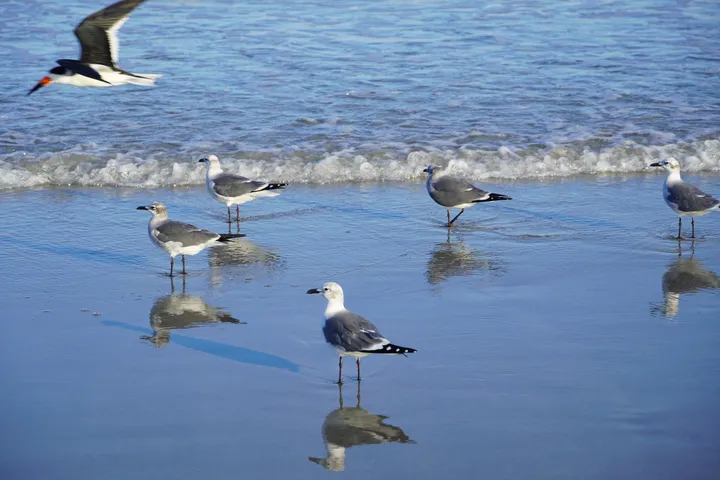 Space Coast photo