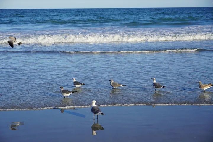 Space Coast photo