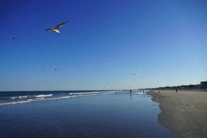 Space Coast photo