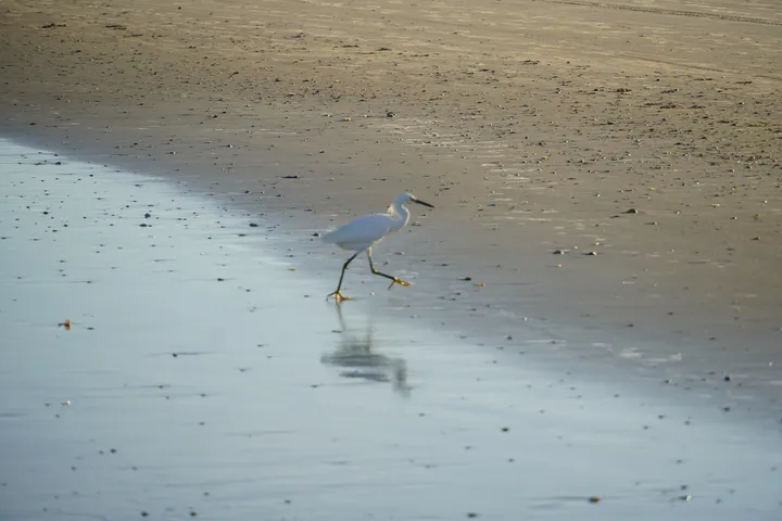 Space Coast photo