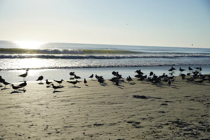 Space Coast photo