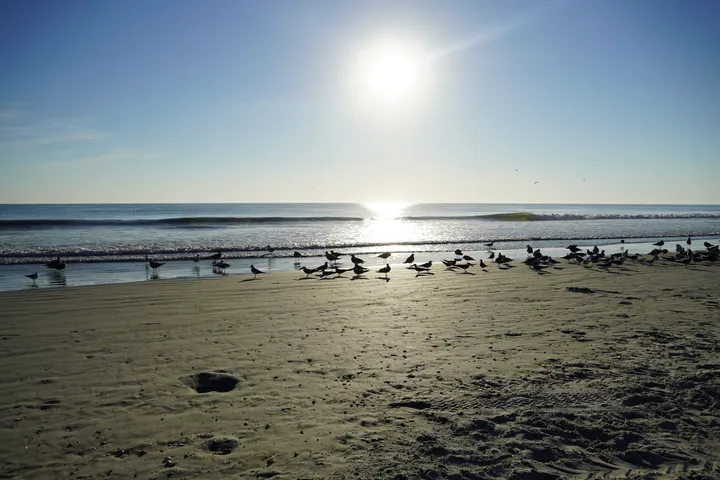 Space Coast photo