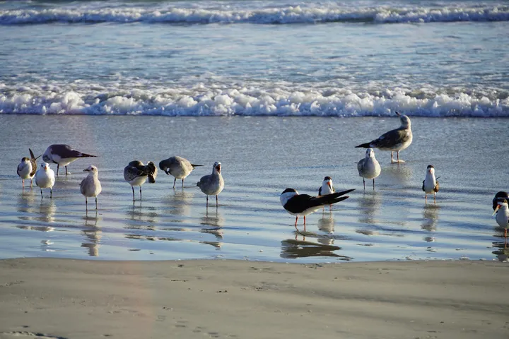 Space Coast photo