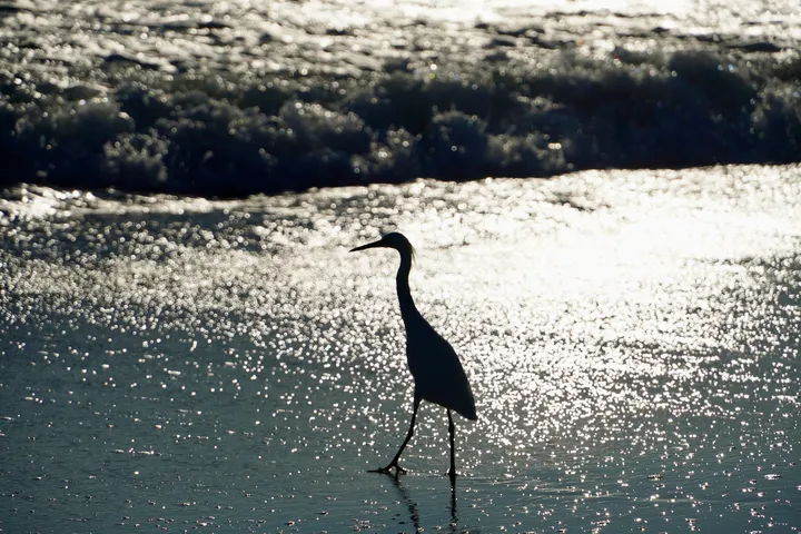 Space Coast photo