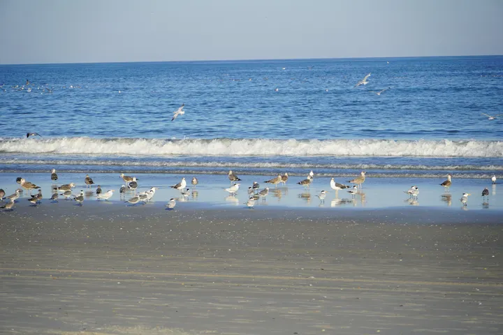 Space Coast photo