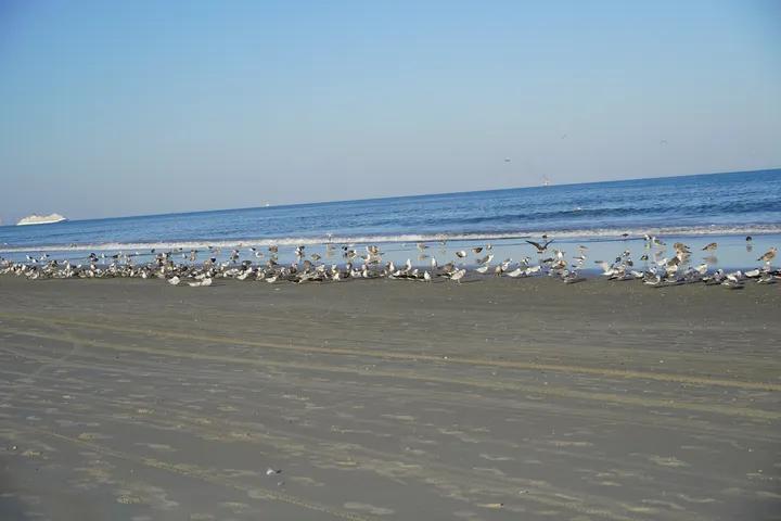 Space Coast photo