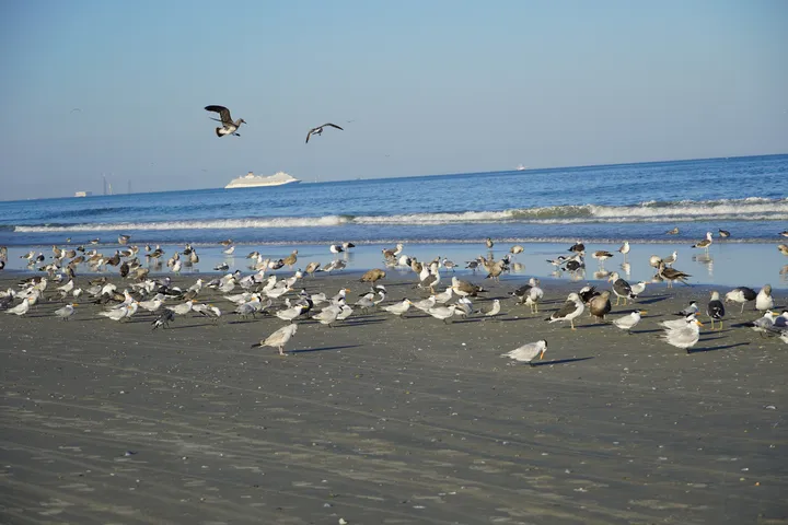 Space Coast photo