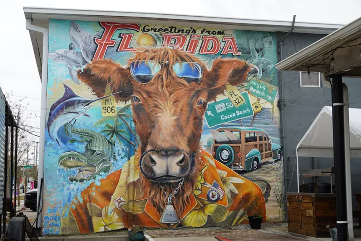 Space Coast photo