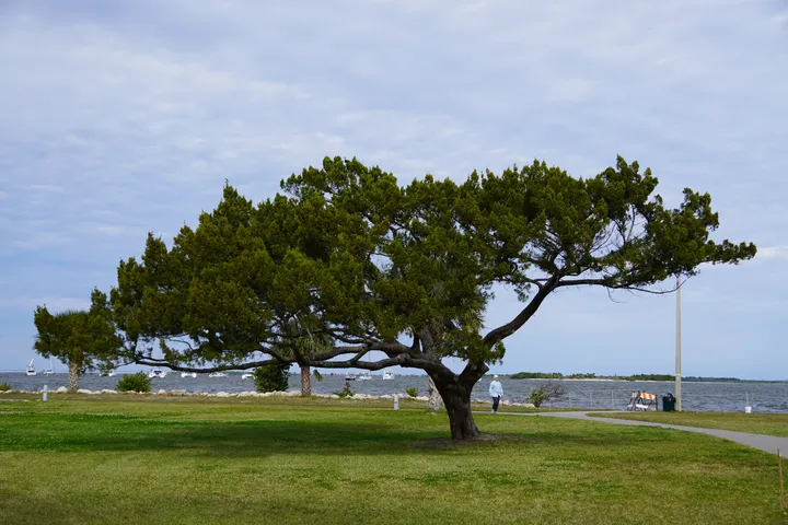 Space Coast photo