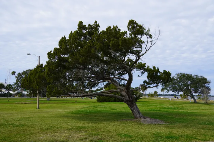 Space Coast photo