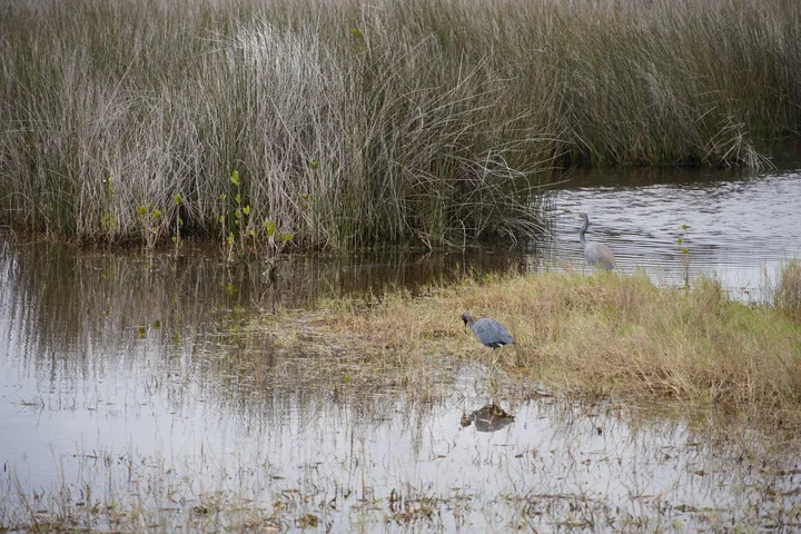 Space Coast photo