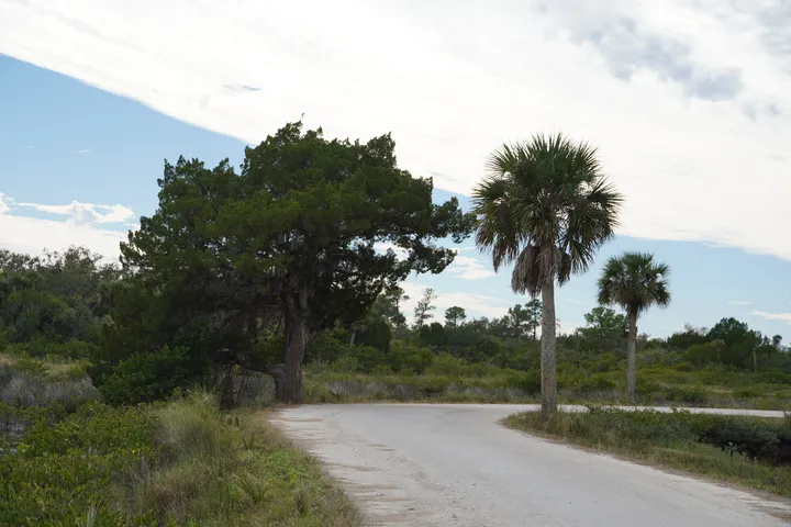Space Coast photo