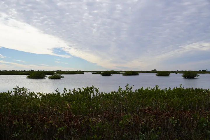 Space Coast photo