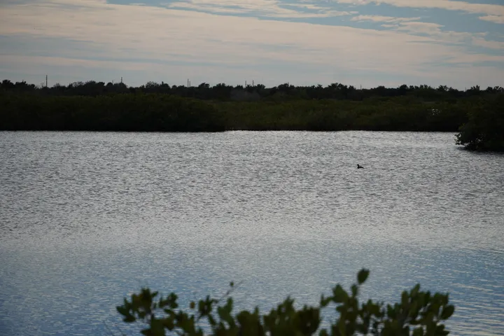 Space Coast photo