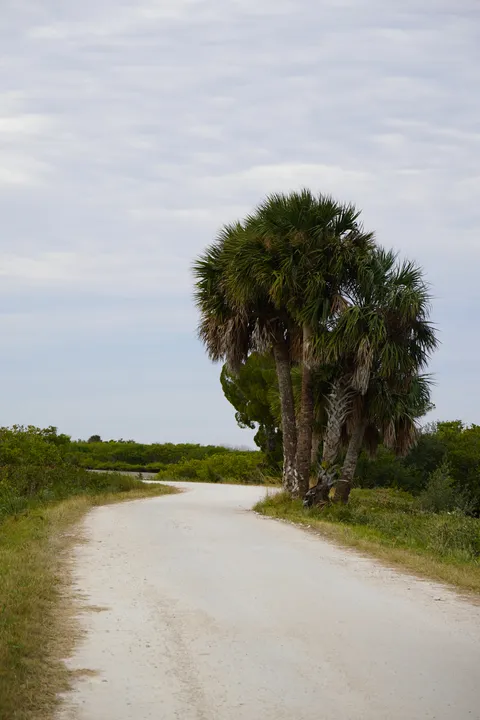 Space Coast photo