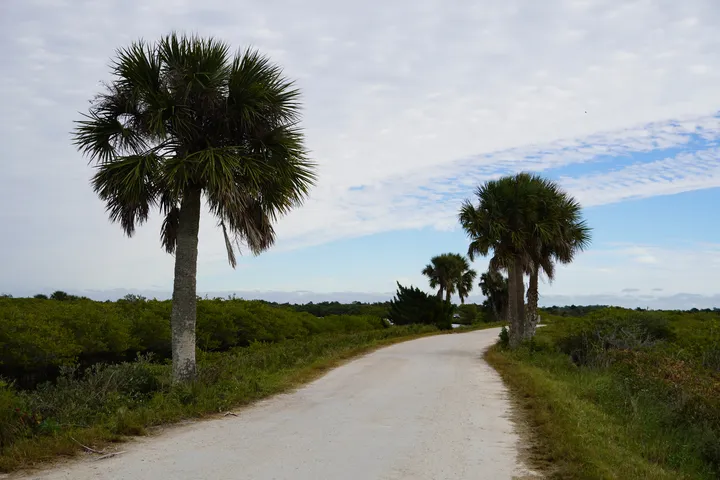 Space Coast photo