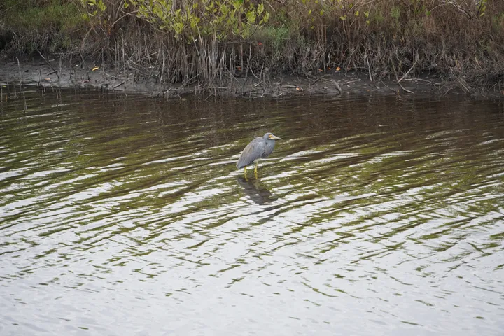 Space Coast photo