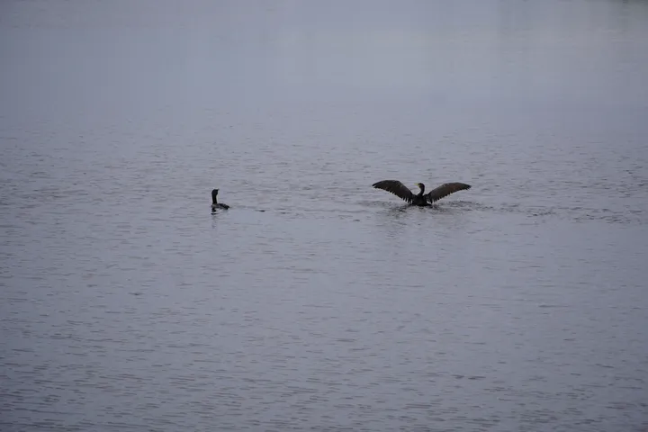 Space Coast photo