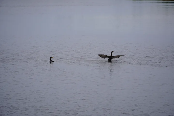 Space Coast photo