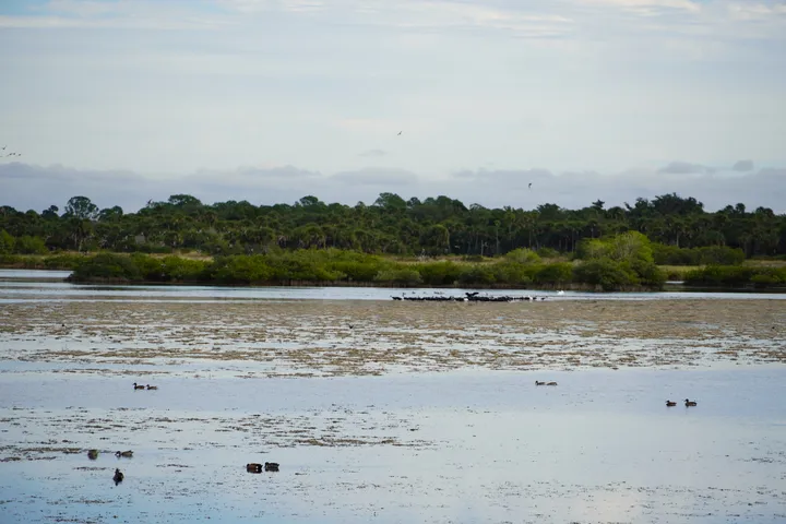 Space Coast photo