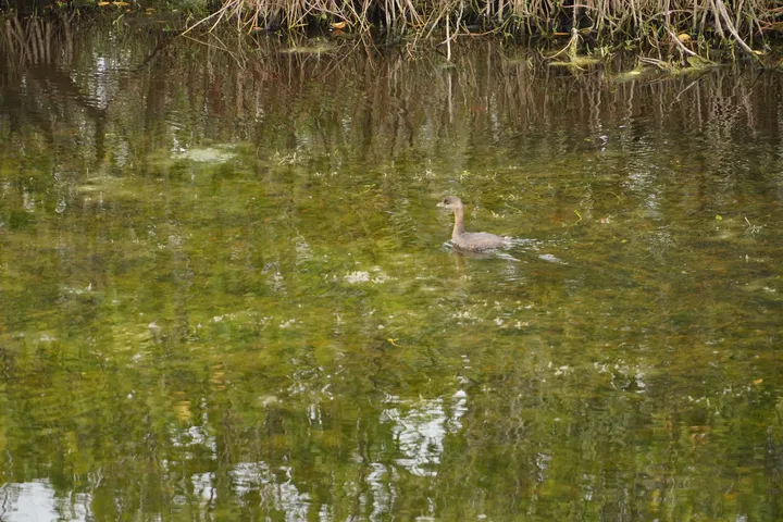 Space Coast photo
