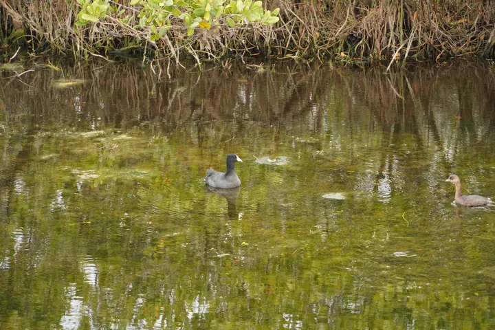 Space Coast photo