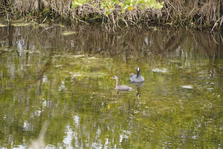Space Coast photo