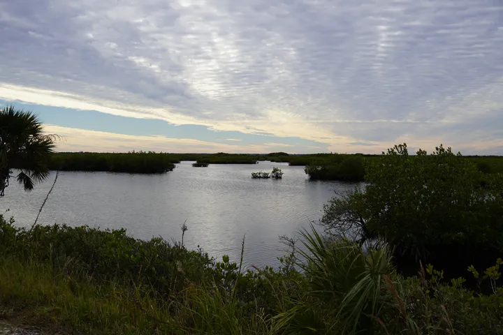 Space Coast photo