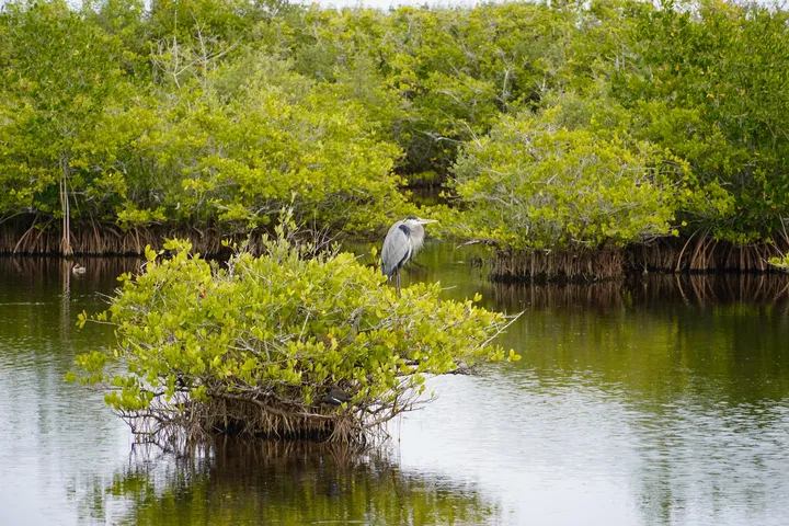 Space Coast photo
