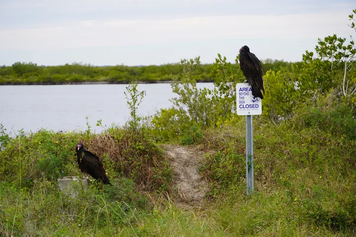 Space Coast photo